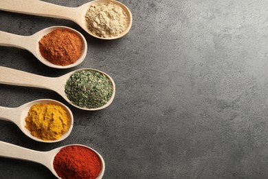 Photo of Many different spices in spoons on grey table, flat lay. Space for text
