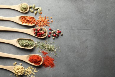 Photo of Many different spices in spoons on grey table, flat lay. Space for text