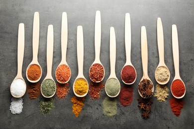 Photo of Many different spices in spoons on grey table, flat lay