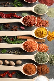Photo of Many different spices in spoons on grey table, flat lay