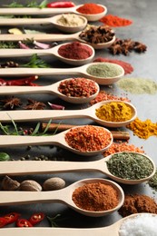 Photo of Many different spices in spoons on grey table, closeup