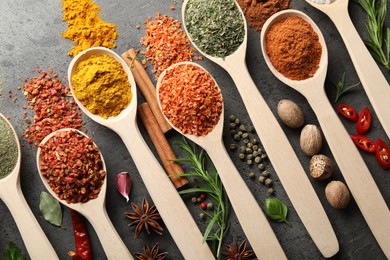 Photo of Many different spices in spoons on grey table, flat lay