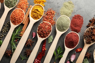 Photo of Many different spices in spoons on grey table, flat lay