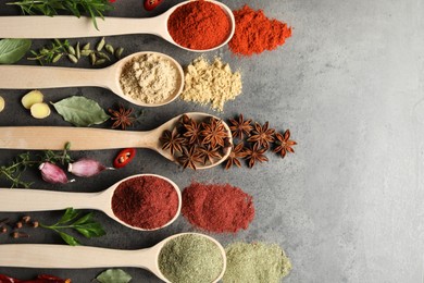 Photo of Many different spices in spoons on grey table, flat lay