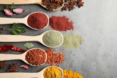 Photo of Many different spices in spoons on grey table, flat lay
