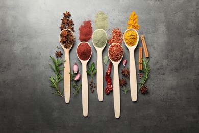 Photo of Many different spices in spoons on grey table, flat lay