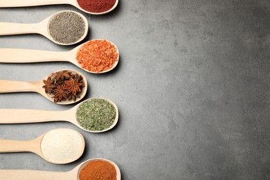 Photo of Many different spices in spoons on grey table, flat lay. Space for text