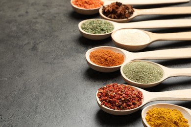 Photo of Many different spices in spoons on grey table, closeup. Space for text