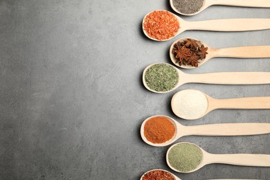 Photo of Many different spices in spoons on grey table, flat lay. Space for text