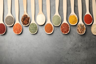 Photo of Many different spices in spoons on grey table, flat lay. Space for text