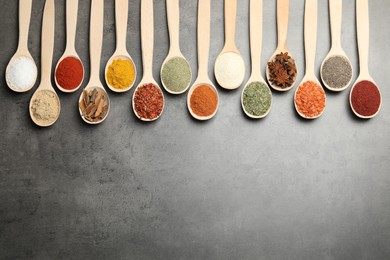 Photo of Many different spices in spoons on grey table, flat lay. Space for text