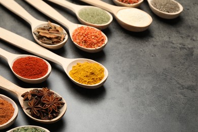 Photo of Many different spices in spoons on grey table, closeup. Space for text