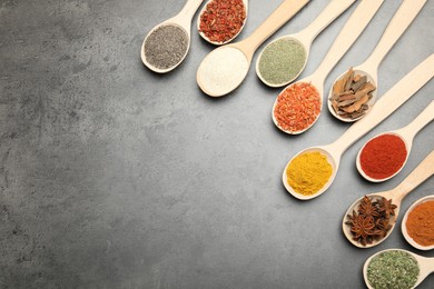 Photo of Many different spices in spoons on grey table, flat lay. Space for text