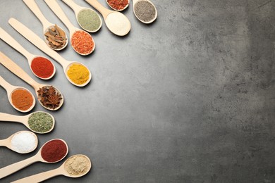 Photo of Many different spices in spoons on grey table, flat lay. Space for text
