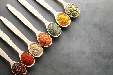 Photo of Many different spices in spoons on grey table, flat lay. Space for text