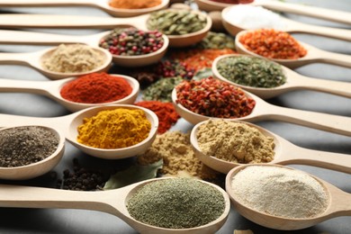Photo of Many different spices in spoons on grey table, closeup