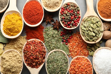 Photo of Many different spices in spoons on grey table, flat lay