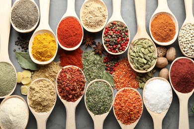 Photo of Many different spices in spoons on grey table, flat lay