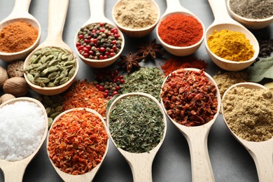 Photo of Many different spices in spoons on grey table, closeup