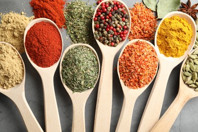 Photo of Many different spices in spoons on grey table, flat lay