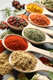 Photo of Many different spices in spoons on grey table, closeup