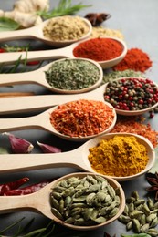 Photo of Many different spices in spoons on grey table, closeup