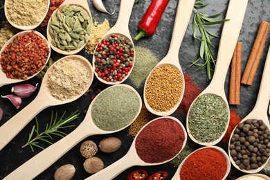 Photo of Many different spices in spoons on grey table, flat lay