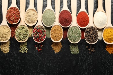 Photo of Many different spices in spoons on black table, flat lay