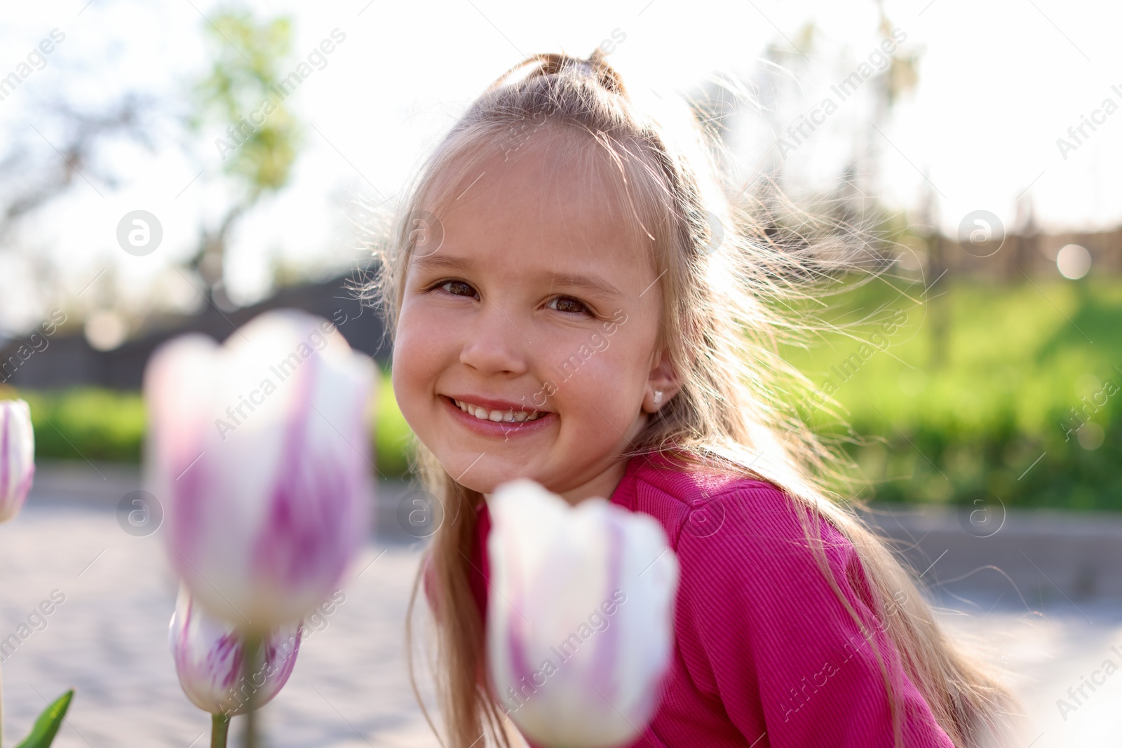 Cute little girl near beautiful pink tulips outdoors Photo of Cute little girl near beautiful pink tulips outdoors