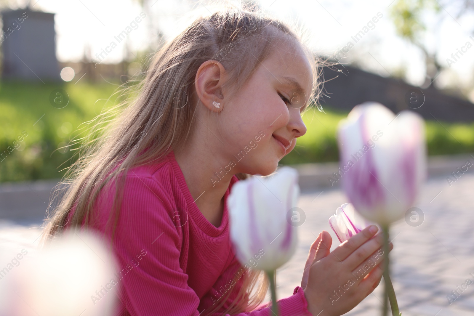 Cute little girl near beautiful pink tulips outdoors Photo of Cute little girl near beautiful pink tulips outdoors
