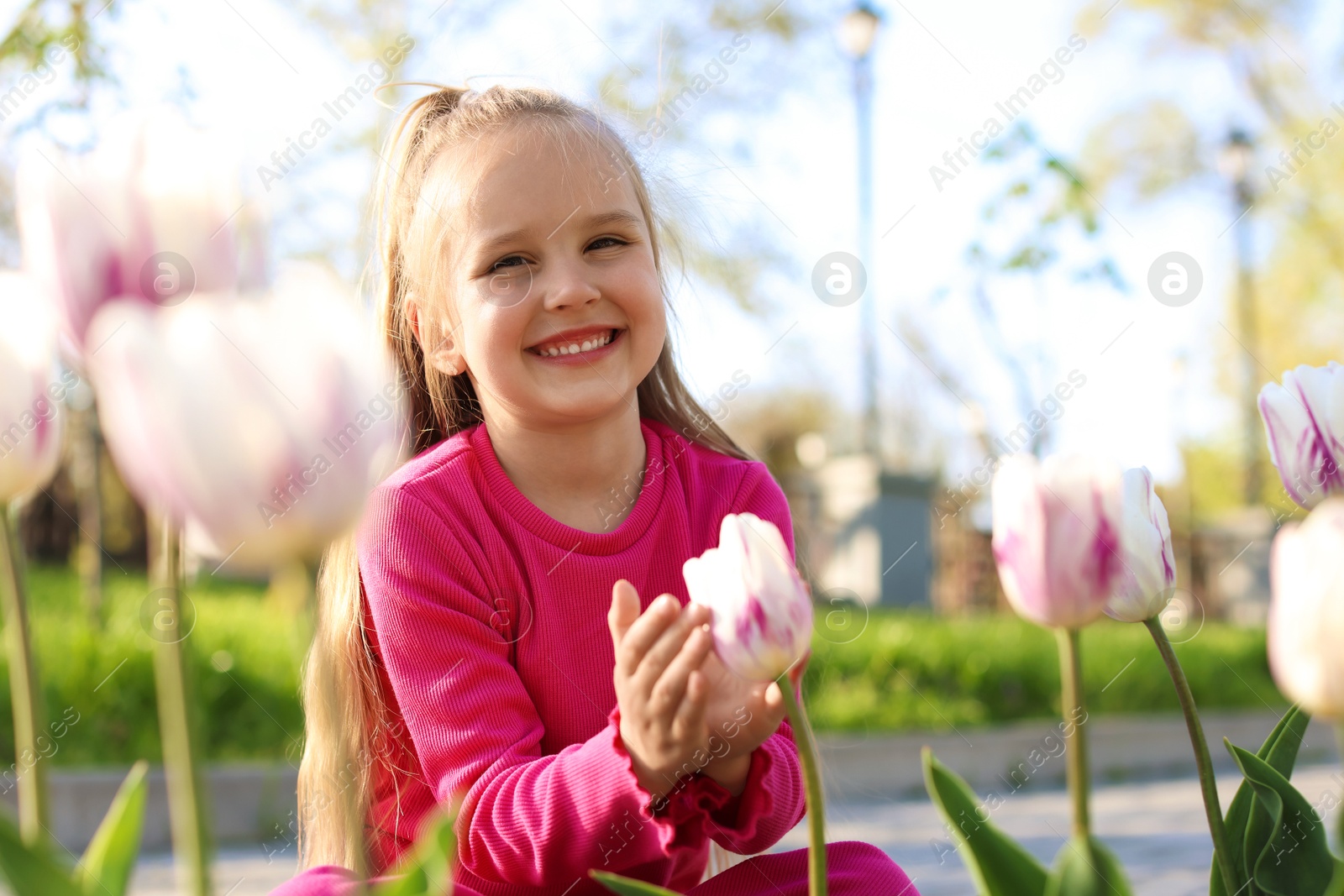 Photo of Cute little girl near beautiful pink tulips outdoors