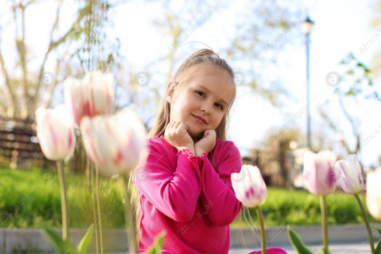 Cute little girl near beautiful pink tulips outdoors Photo of Cute little girl near beautiful pink tulips outdoors