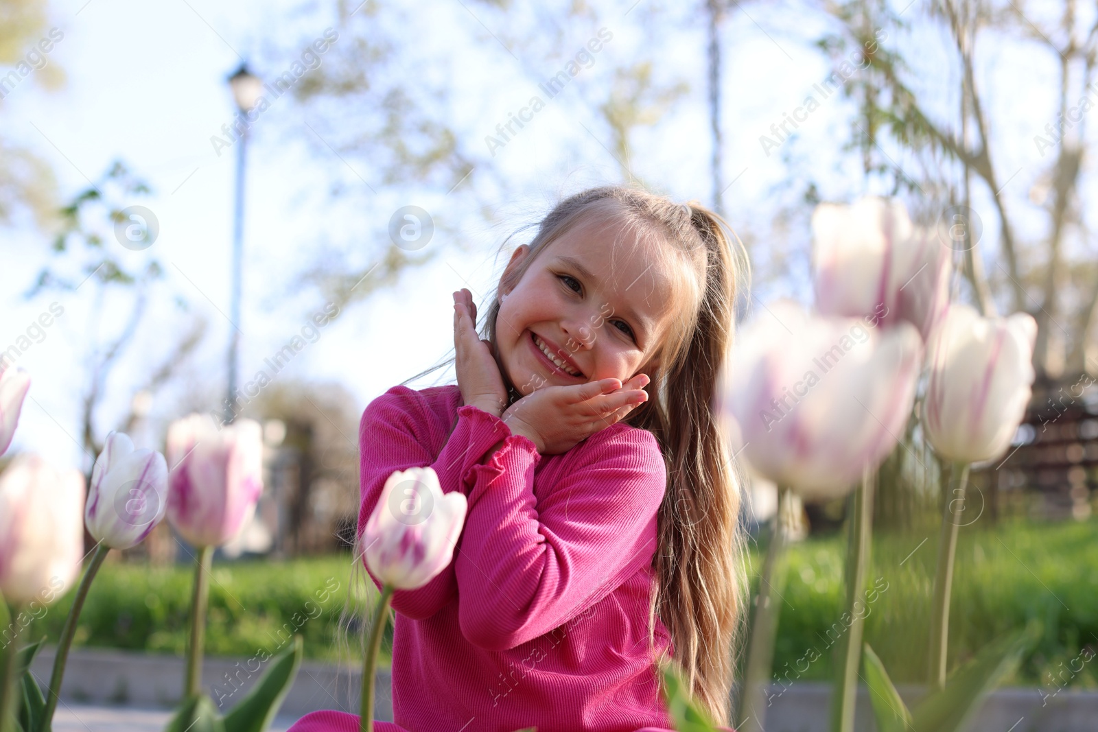 Cute little girl near beautiful pink tulips outdoors Photo of Cute little girl near beautiful pink tulips outdoors