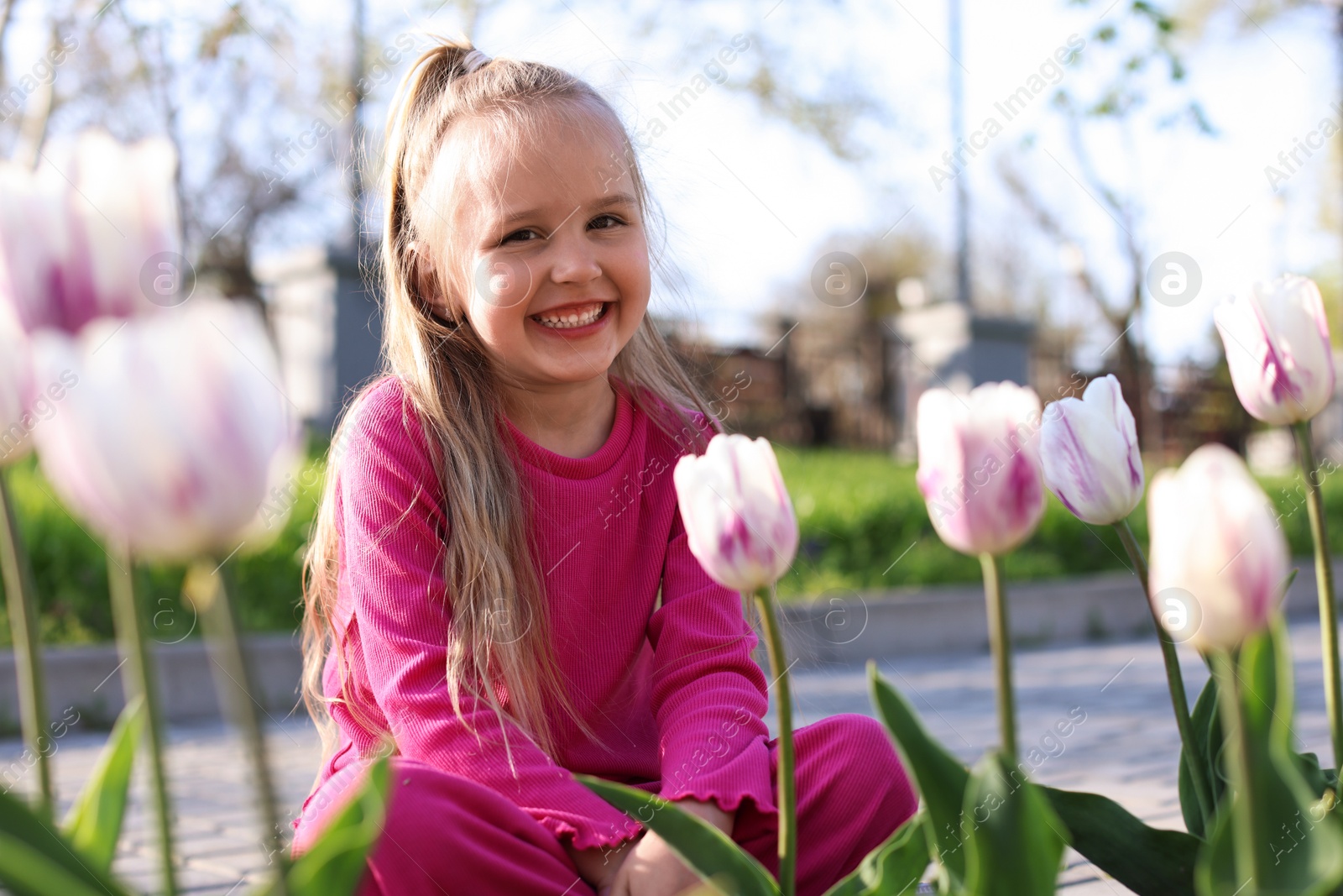 Cute little girl near beautiful pink tulips outdoors Photo of Cute little girl near beautiful pink tulips outdoors