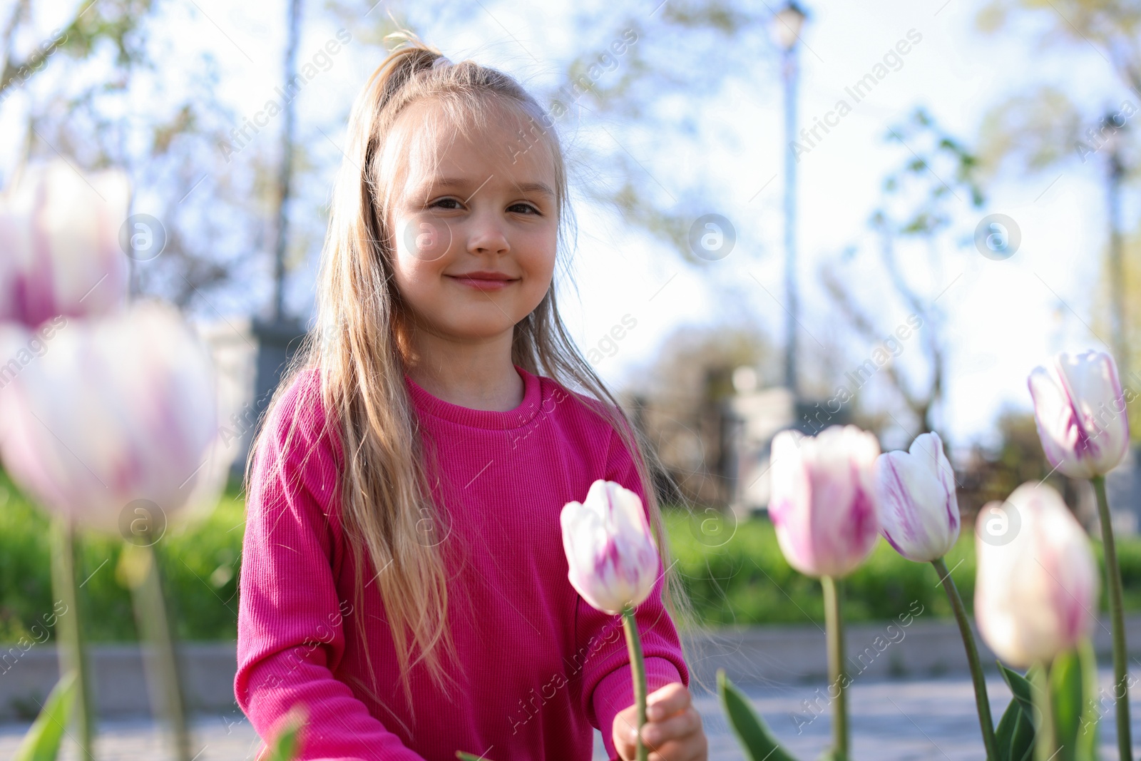 Cute little girl near beautiful pink tulips outdoors Photo of Cute little girl near beautiful pink tulips outdoors