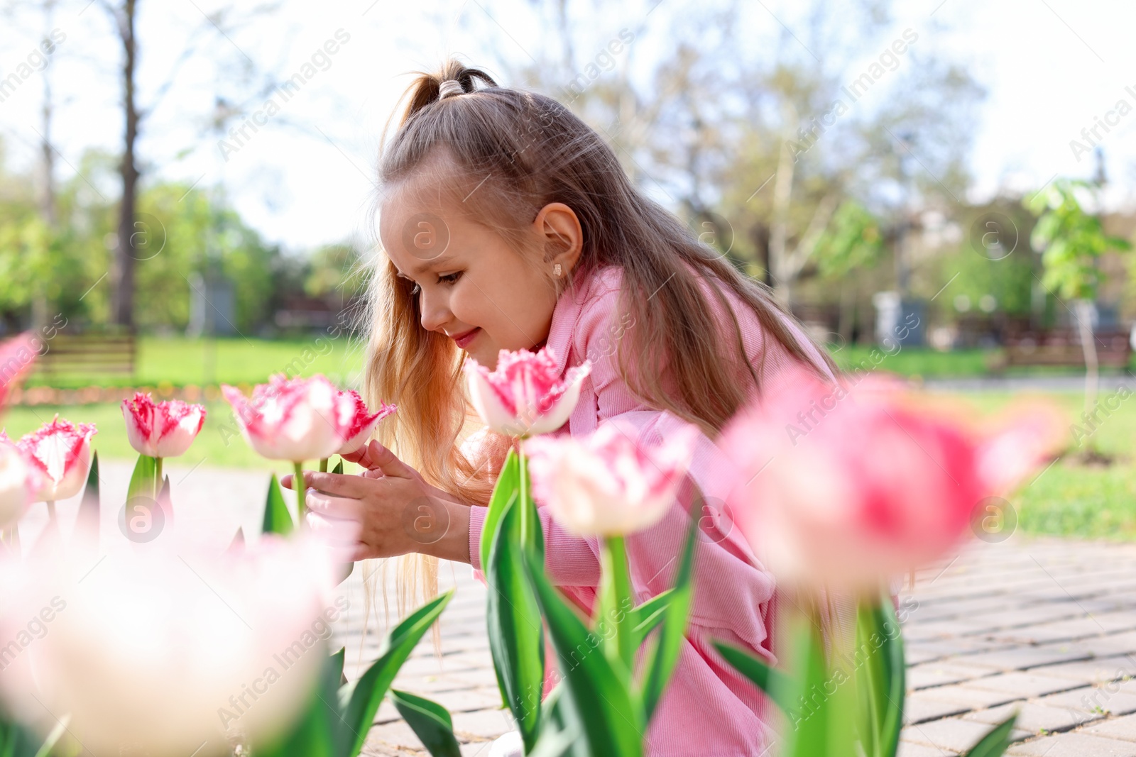 Cute little girl near beautiful pink tulips outdoors Photo of Cute little girl near beautiful pink tulips outdoors