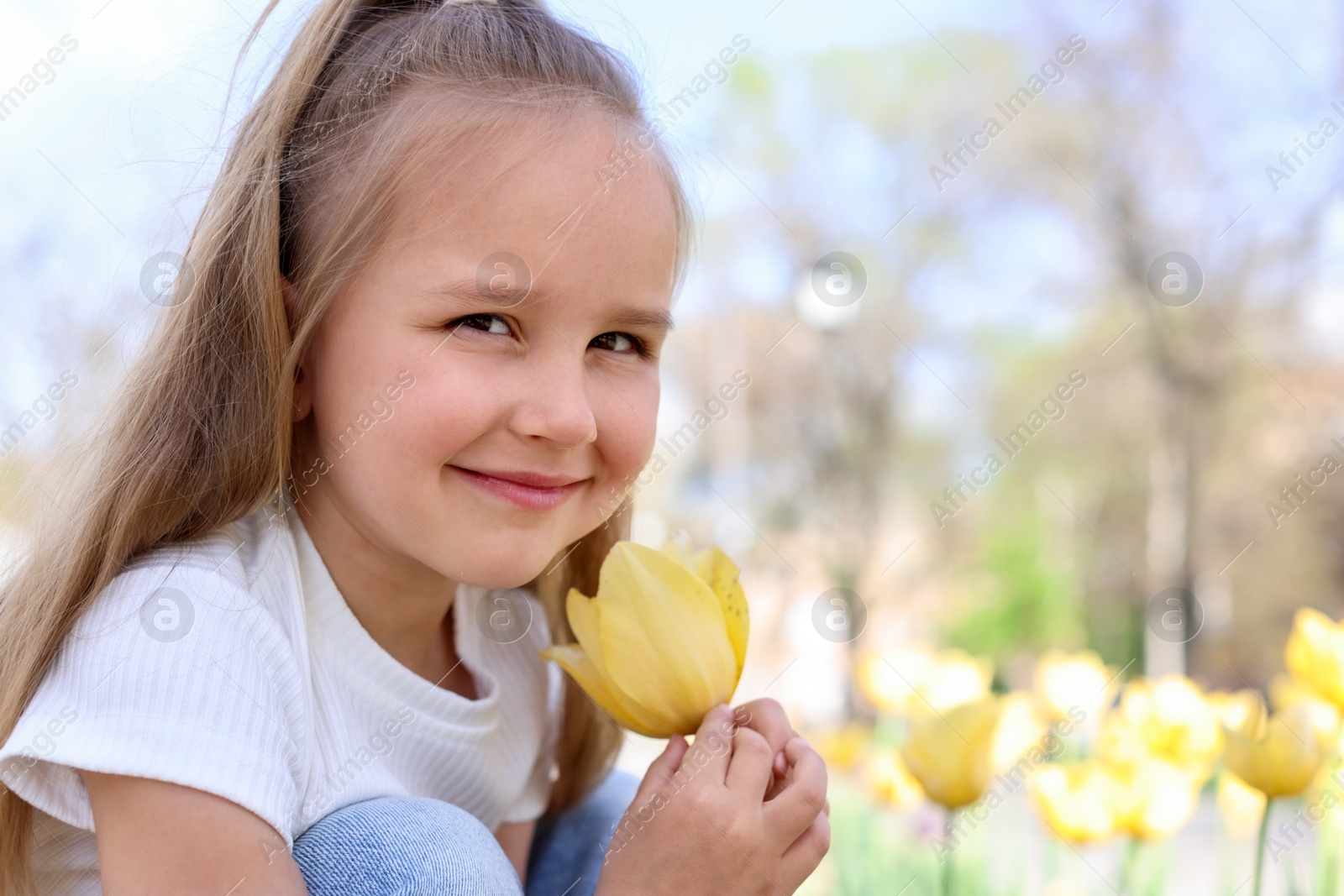 Cute little girl near beautiful yellow tulips outdoors Photo of Cute little girl near beautiful yellow tulips outdoors
