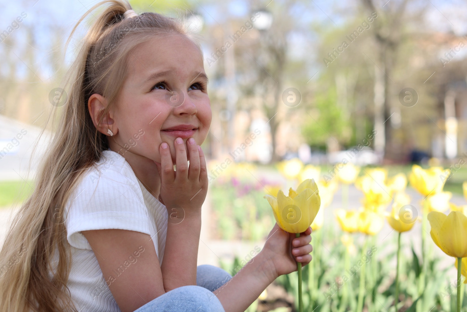 Cute little girl near beautiful yellow tulips outdoors Photo of Cute little girl near beautiful yellow tulips outdoors