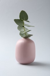 Photo of Beautiful eucalyptus branch in vase on white background