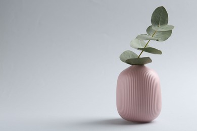 Photo of Beautiful eucalyptus branch in vase on white background, space for text