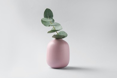 Photo of Beautiful eucalyptus branch in vase on white background