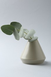 Photo of Beautiful eucalyptus branch in vase on white background
