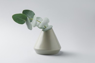 Photo of Beautiful eucalyptus branch in vase on white background