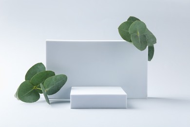 Photo of Stylish presentation with beautiful eucalyptus branches on white background