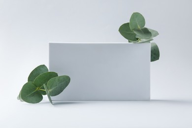 Photo of Beautiful eucalyptus branches and blank card on white background