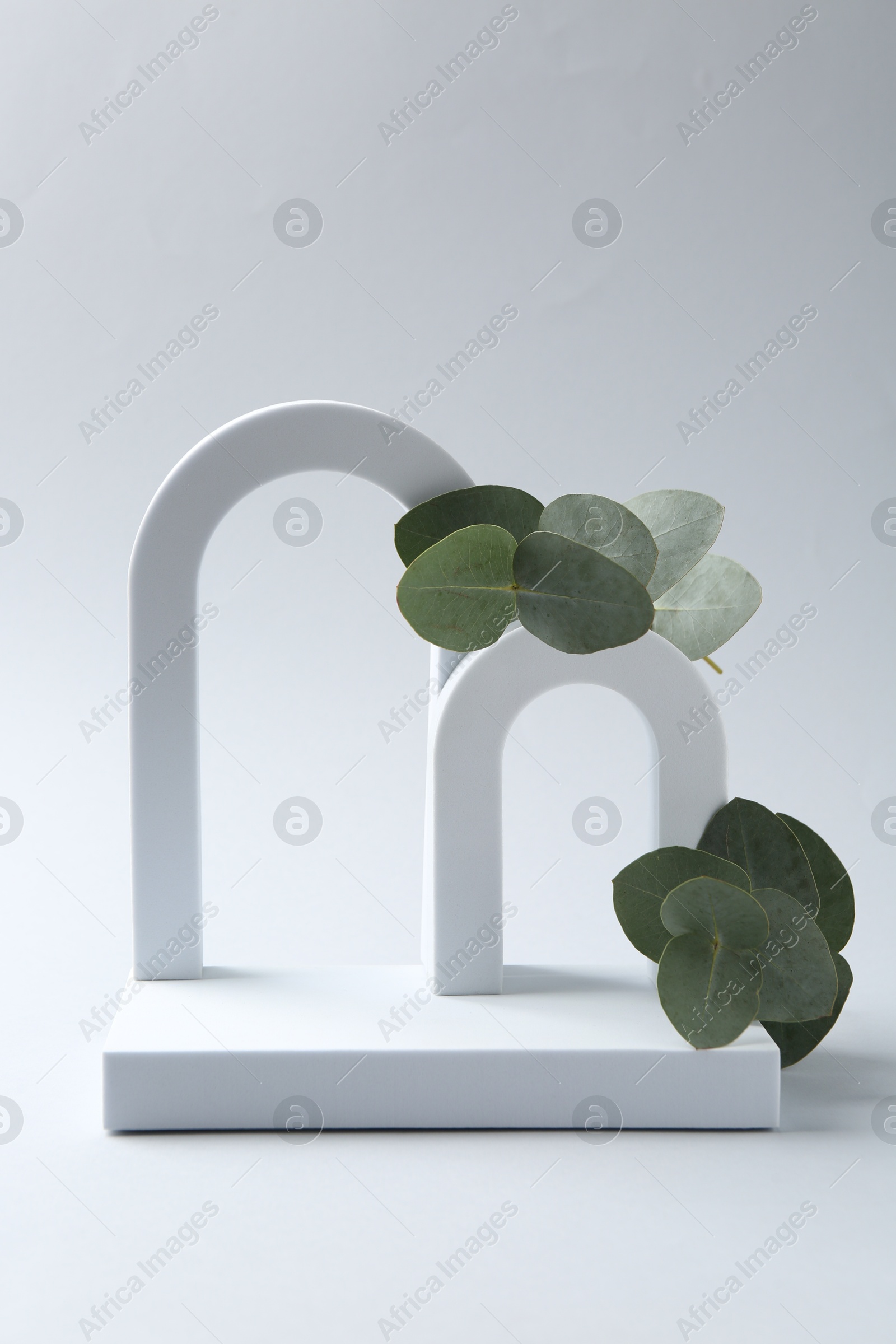 Stylish presentation with beautiful eucalyptus branches on white background Photo of Stylish presentation with beautiful eucalyptus branches on white background