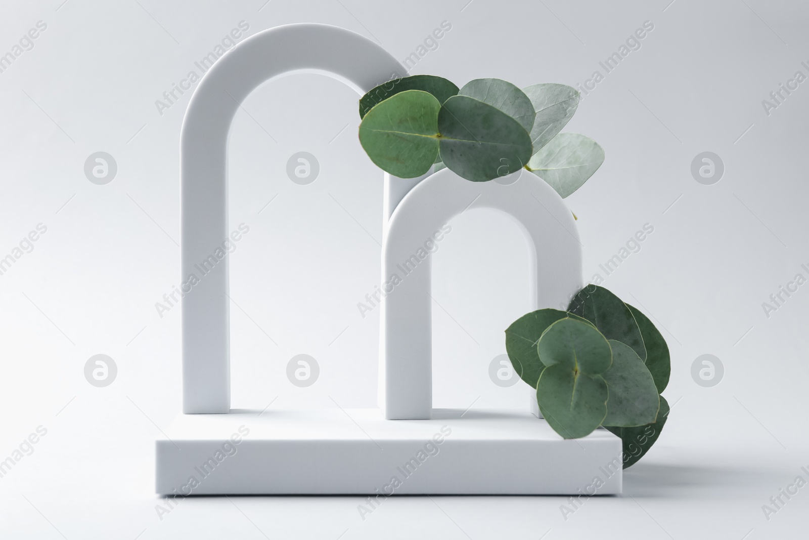 Stylish presentation with beautiful eucalyptus branches on white background Photo of Stylish presentation with beautiful eucalyptus branches on white background