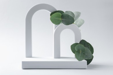 Photo of Stylish presentation with beautiful eucalyptus branches on white background