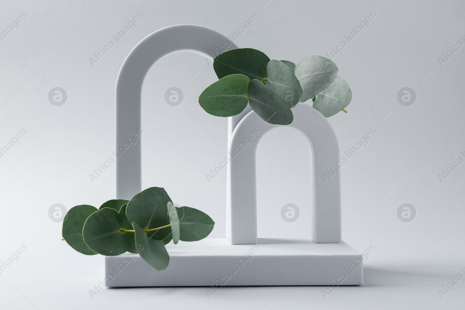 Stylish presentation with beautiful eucalyptus branches on white background Photo of Stylish presentation with beautiful eucalyptus branches on white background