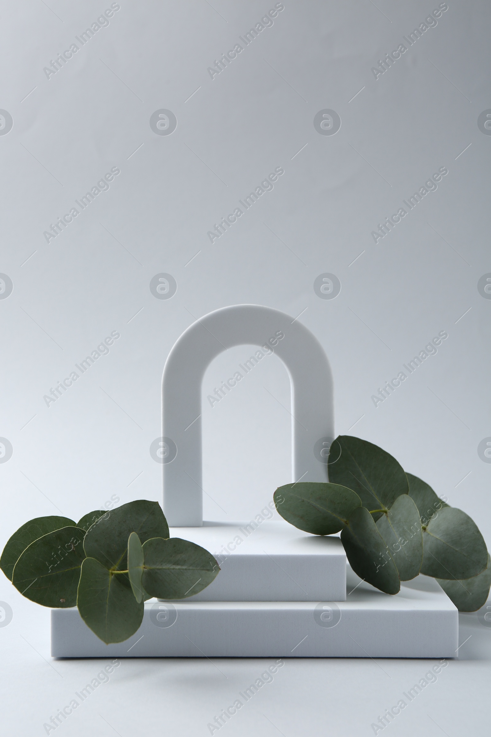 Stylish presentation with beautiful eucalyptus branches on white background Photo of Stylish presentation with beautiful eucalyptus branches on white background